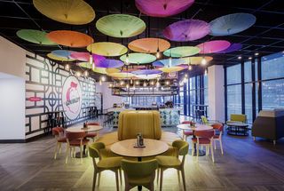 ibis celebrates 50TH ANNIVERSARY