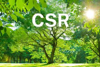 Myth busting 2: Corporate Social Responsibility Directive (CSRD) vs Sustainable Finance Disclosure Regulation (SFDR)