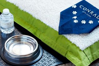 Hotel Amenities: Why They Are Important and How They Impact Guests