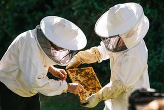 Relais & Châteaux Publishes Second Sustainability Report and Records Positive Gains Across Almost Every Indicator