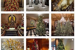 Hoteliers, Your Christmas Tree Could Win $1,500 for YOUR Charity.