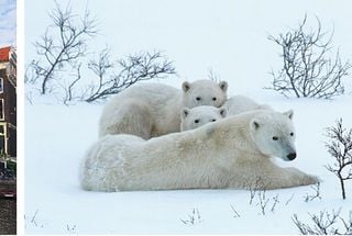 Virtuoso® Names the Nine Must-Have Experiences that Should be on Every Luxury Traveller’s List for 2025