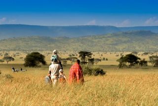 Lemala Camps & Lodges Unveils 2025 ‘Untold Stories’: a Radical Redefinition of Luxury in the Wild