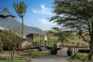 Virgin Limited Edition Unveils the New Look Mahali Mzuri