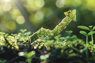 Sustainability and Investing: An Incompatible Combination?