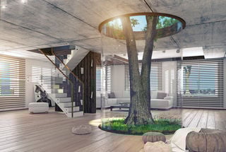 The Luxury–Regeneration Paradox: Can the Two Coexist?