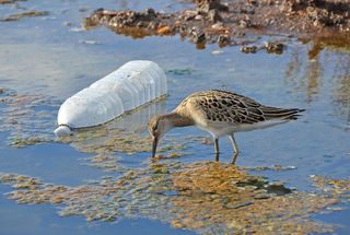 How Club Mahindra Quietly Solved Hospitality’s Biggest Plastic Problem