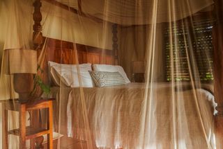 Ladera Unveils Total Renovation