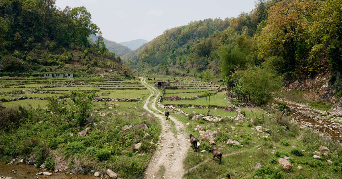 Last year, Airbnb guests traveled to more cities than ever before