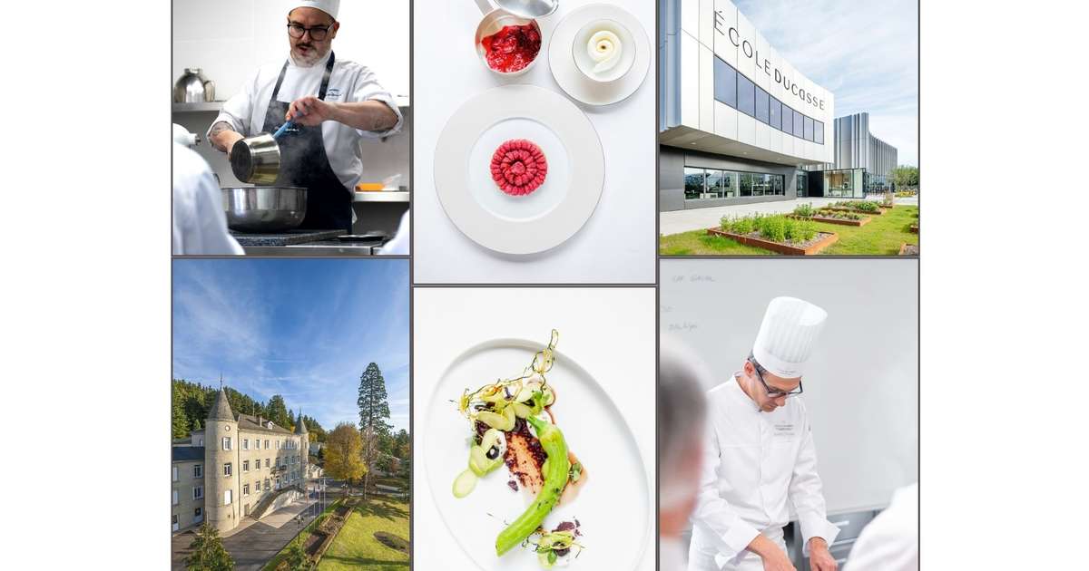 New educational partnership: Instituto Gato Dumas and &Eacute;cole Ducasse announce academic collaboration agreement