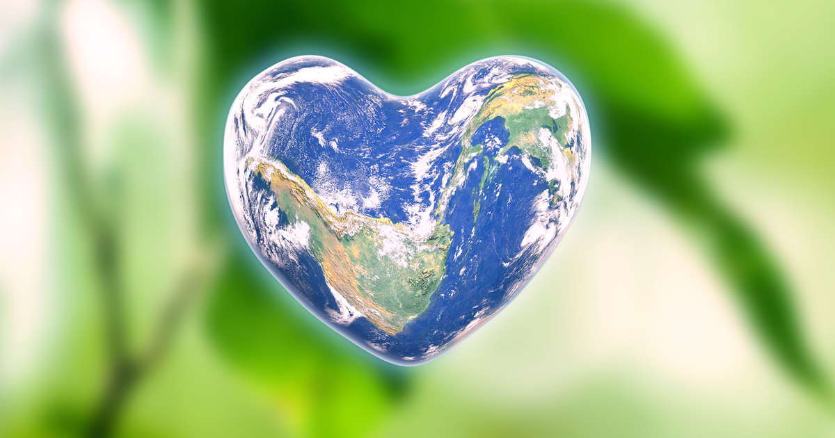 Hotels on the way to net zero