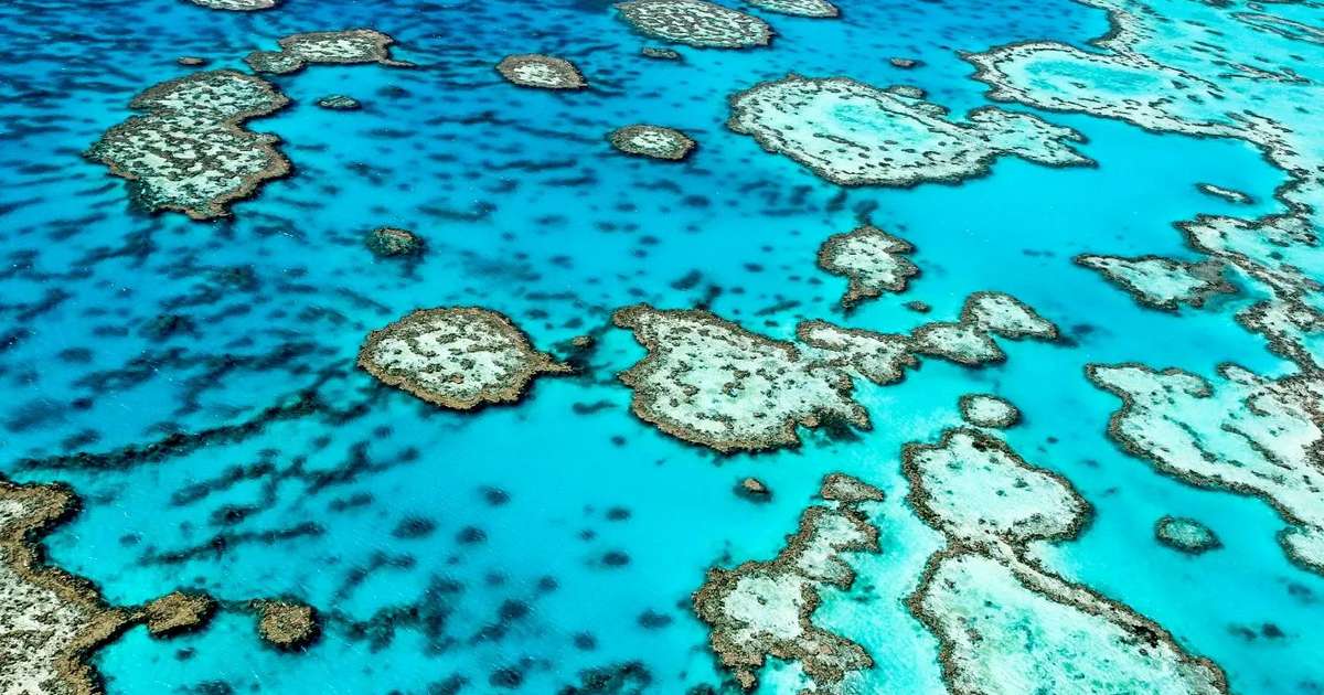 Australia’s Travel & Tourism Sector Set to Reach Record $315BN in 2025
