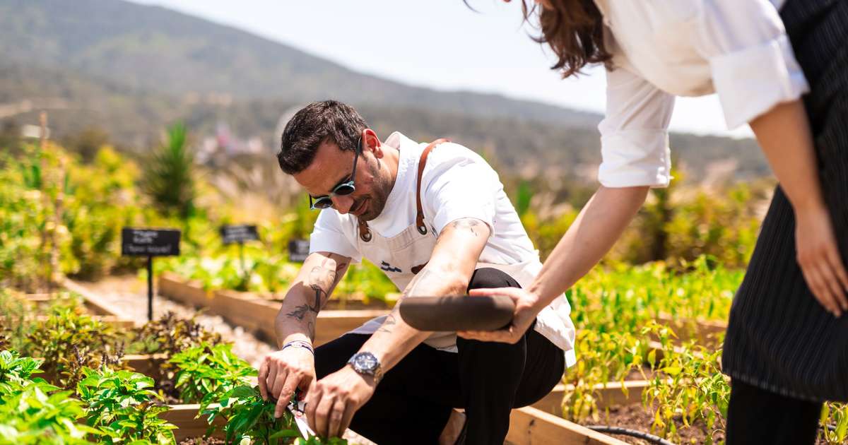 Hilton & Hilton Global Foundation Open Doors of Opportunity for People, Deliver Sustainable Stays and Support Resilient Communities to Advance 2030 Travel with Purpose Goals