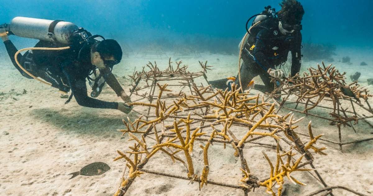 Redefining Hospitality Through Sustainability and Innovation