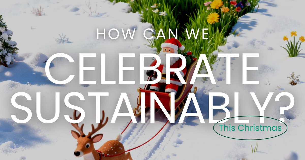 How can we celebrate more sustainably this Christmas?