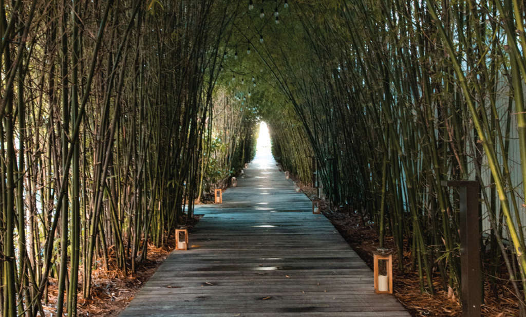 The Nautilus Hotel joins the Arlo Hotels brand portfolio and rebrands