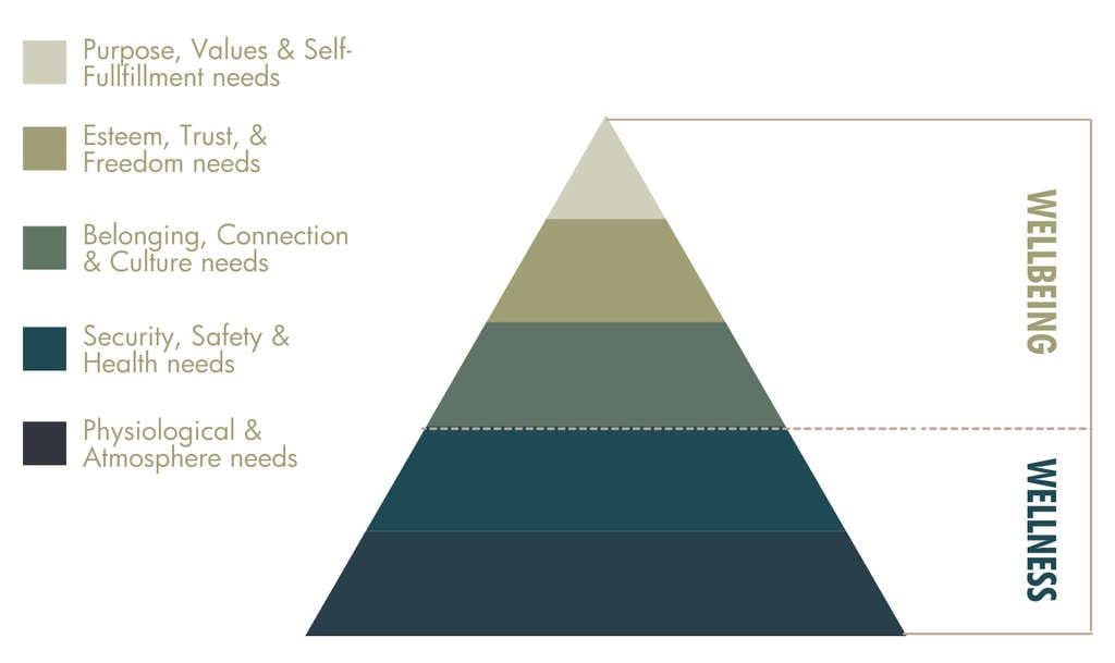 Source: Amore Social