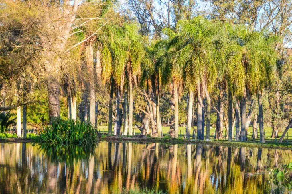 Estancia La violeta — Photo by Booking.com