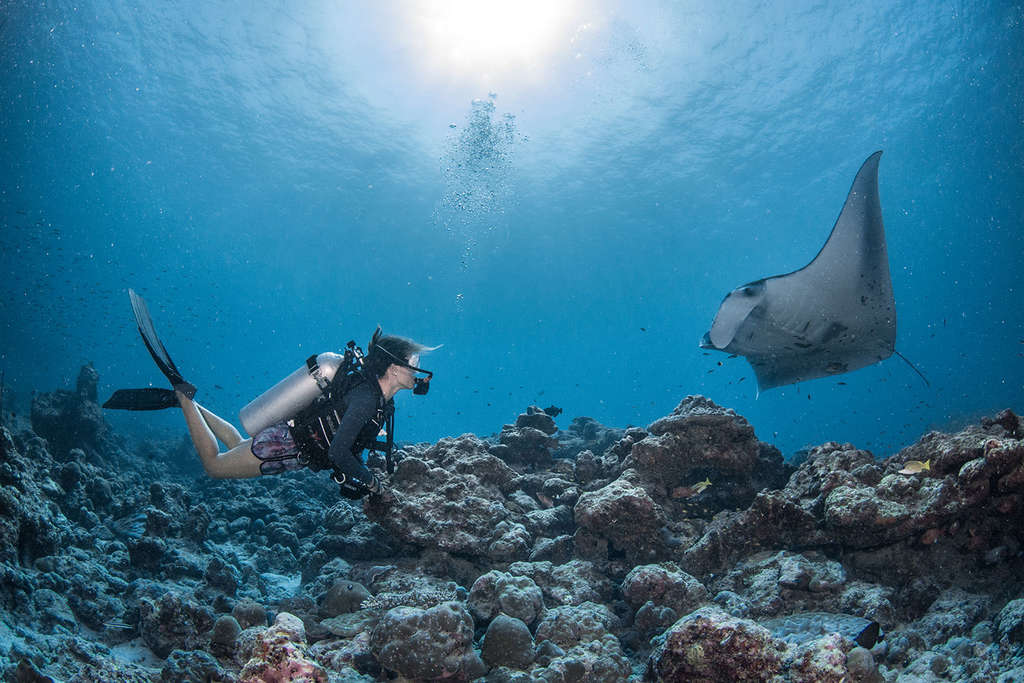 InterContinental Maldives Maamunagau Resort - Manta Trust and Ocean Conservation Program— Photo by IHG