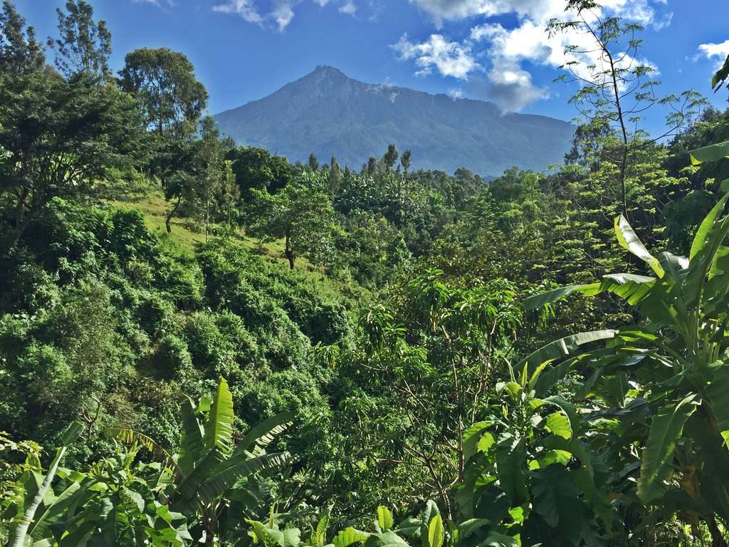 Banana Farm Eco Hostel — Photo by Booking.com