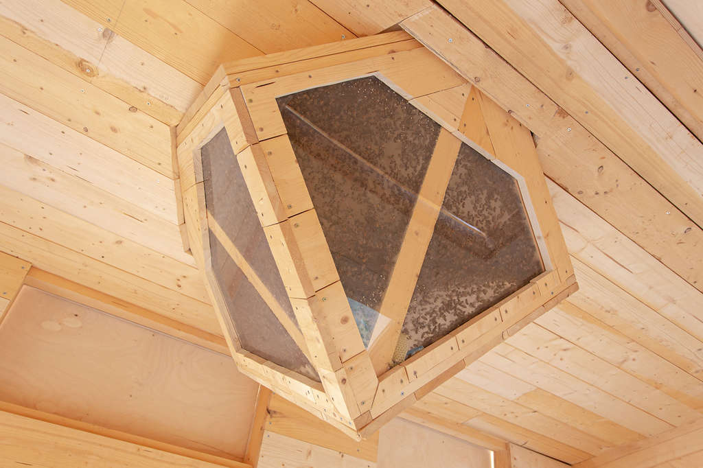 Como se encuentra dentro de la estructura, los invitados pueden ver la colmena trabajando a través de una caja especialmente construida en el techo.- Foto de Airbnb