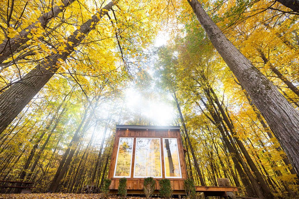The Cabin at Fernwood Hills, Komoka, Ontario — Source: Airbnb