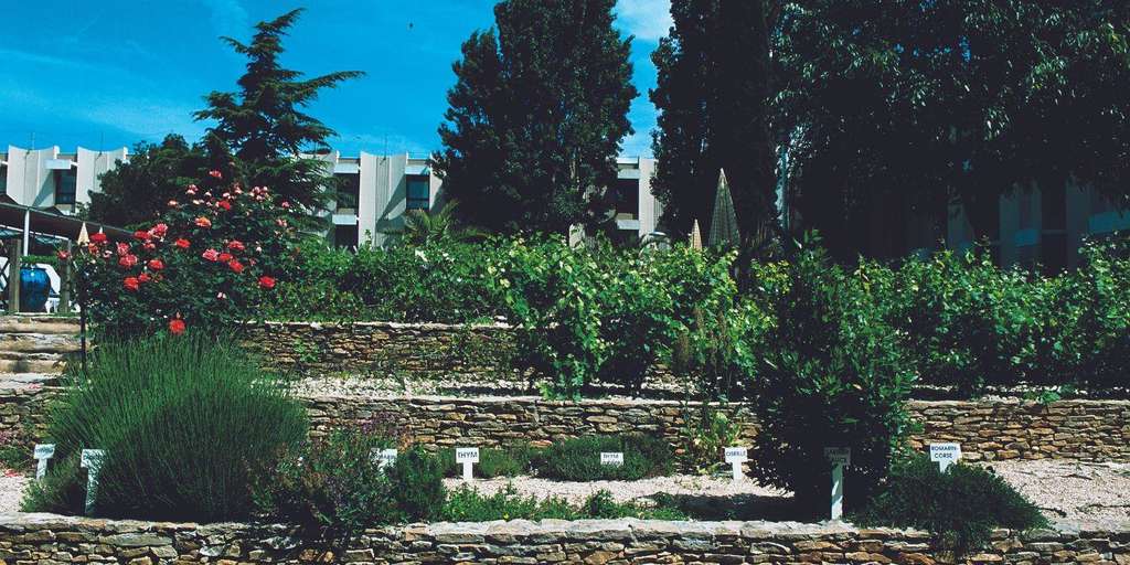 On-site organic garden – Novotel & ibis budget Marseille Est Porte d’Aubagne — Photo by Accor