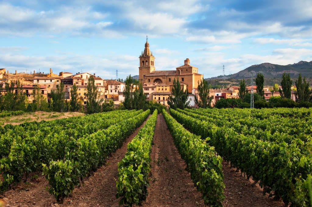 La Rioja, Spain— Photo by Booking.com