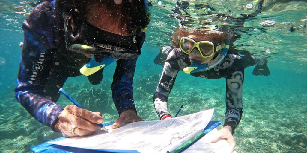 Coral Guardian — Photo by Accor