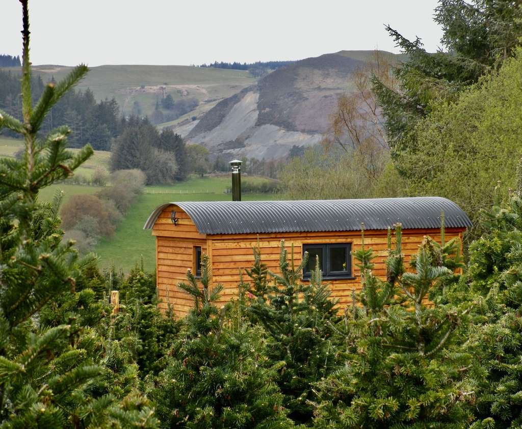 Speaking of room for a tree, you can even stay in a shepherd’s hut on this Christmas tree farm in Ceredigion, in the United Kingdom. — Source: Airbnb